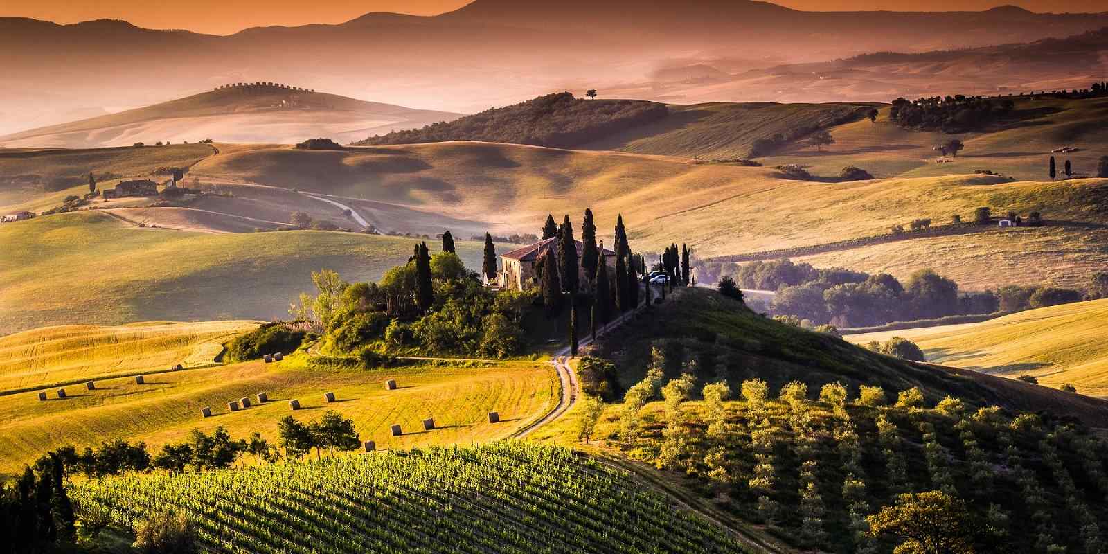 Rolling Tuscan countryside with cypress trees, vineyards, and golden hay bales in warm afternoon light